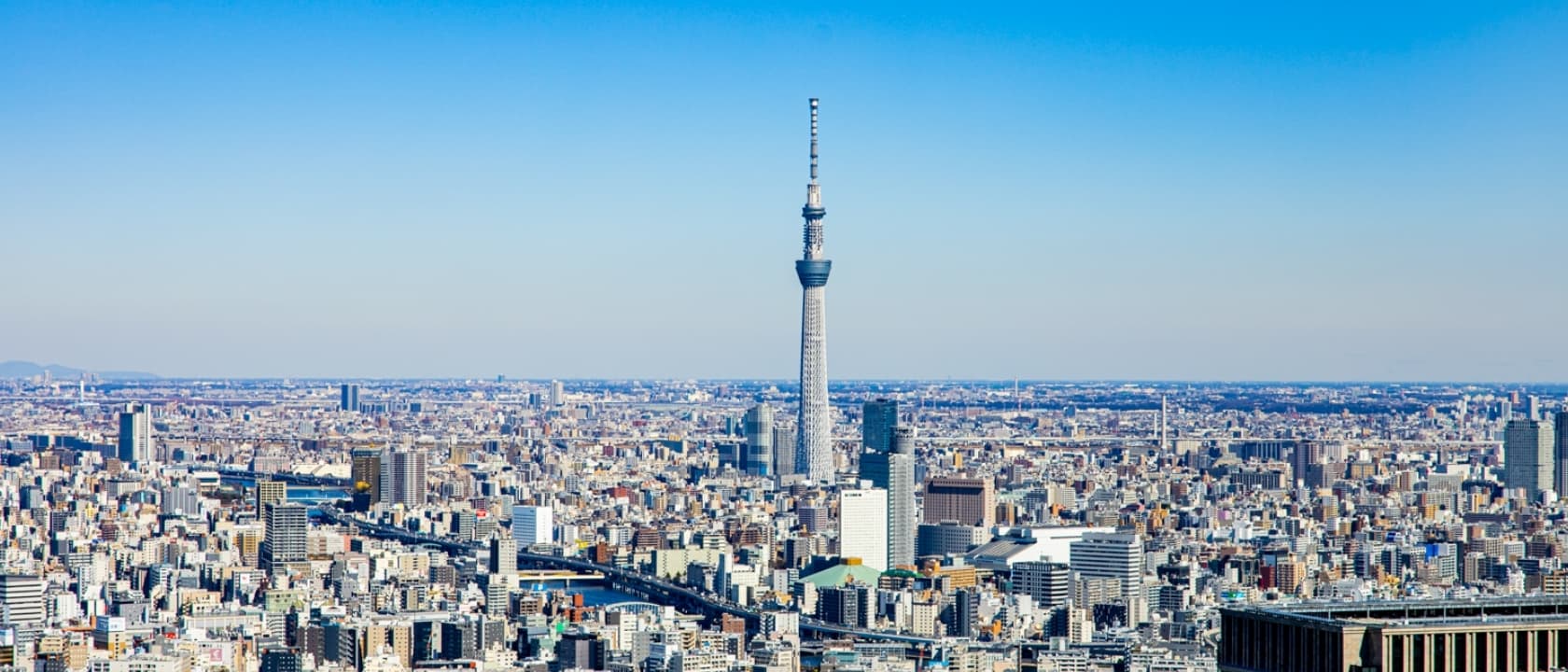 技術を磨き、品格を育てる。
